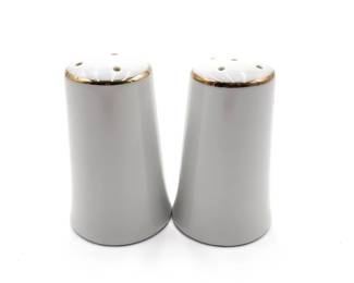 White Ceramic Salt and Pepper Shakers with Gilded Rims