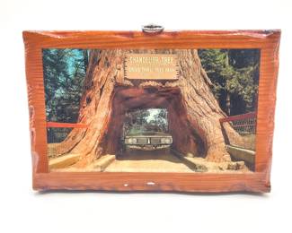 Vintage Redwood Souvenir Plaque - Chandelier Drive-Thru Tree