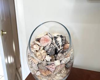 Seashell Decor