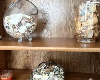 Seashell Decor