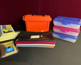 Treasurers Helpers Mystery Lot