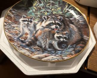 Raccoon plate