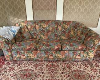 Sofa bed pet and smoke free home $50