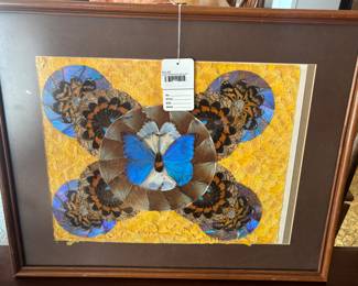 Framed Butterfly Wing Art