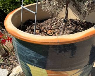 Outdoor pot with plant in front by garage