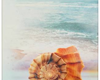 1182
Yankel Ginzburg
(b. 1945)
Untitled, conch shell in sand
Acrylic on panel
Signed lower left: Yankel Ginzburg
22" H x 16" W
Estimate: $300 - $500