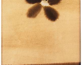 1177
Ross Bleckner
(b. 1949)
Untitled, for "Parkett" vol 38, 1993
Watercolor, ink, and wax on paperboard in hand-painted and waxed desktop frame, as issued
Edition: 97/100
Unsigned; numbered in pencil on the frame's backing board, upper right
Image/Sheet: 10" H x 8.125" W
Estimate: $500 - $700
