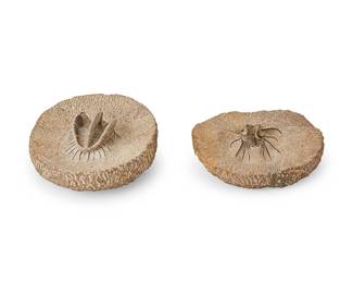 1426
Two trilobite fossils
Circa Paleozoic Era; Morocco
Each on a circular matrix
2 pieces
Larger: 3.125" H x 8" W x 6.75" D; Smaller: 2" H x 6.875" W x 6.375" D
Estimate: $300 - $500