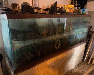 Large Fish Tank