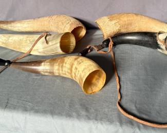 Powder Horns.jpeg