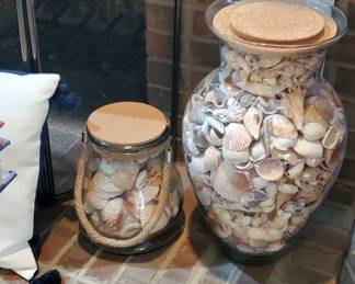 Shells in glass 