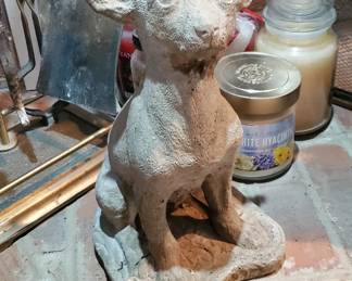 Chihuahua 