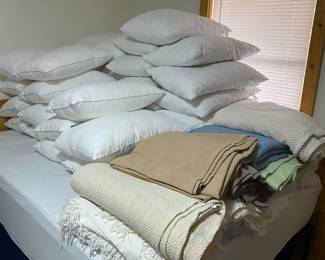 Several bed pillows, extra bed blankets 
