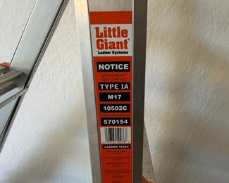 Little Giant type IA ladder