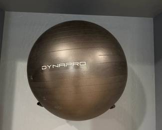 Dynapro exercise ball