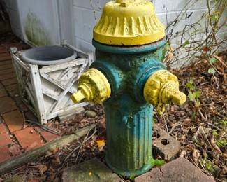 Fire hydrant is not connected but does go down several feet. I'm sure we can get it out to sell. 