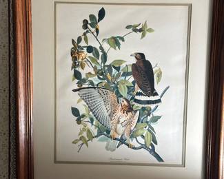 Audubon