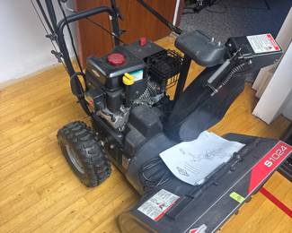 briggs and Stratton