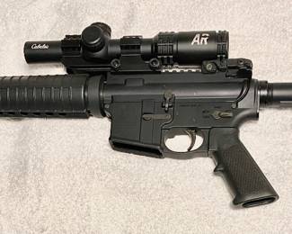AR 15 rifle