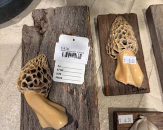 Morel Mushroom Wall Art