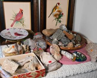 Geodes, quartz, shells, coral