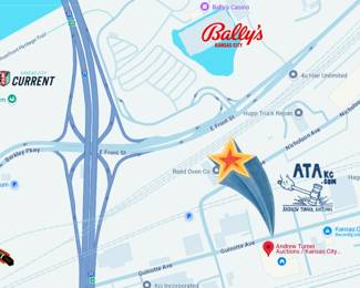 AUCTION PREVIEW VIDEO