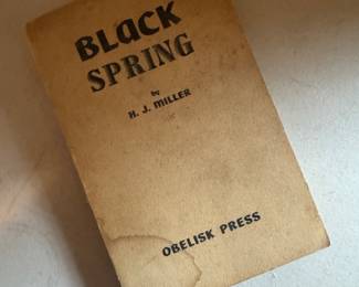 "Black Spring" by H.J. Miller