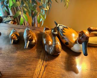 Assorted wooded ducks
