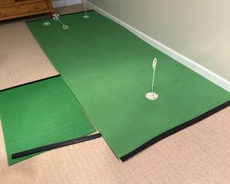 indoor/outdoor putting green