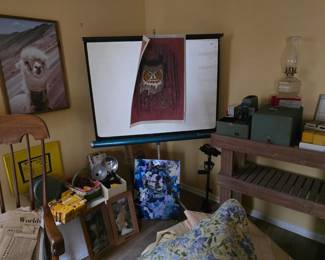 Projectors, screen, camera flash, etc.