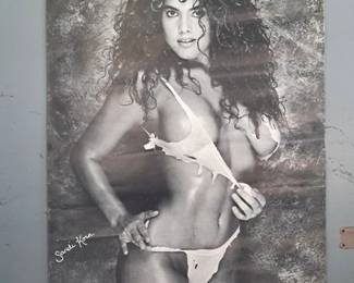 sandi