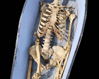Skelly
