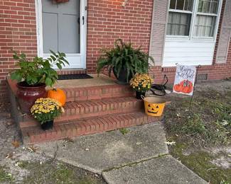 Plants and Halloween basket for sale