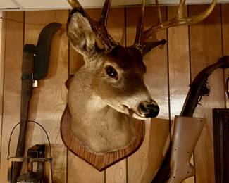 Deer head mount