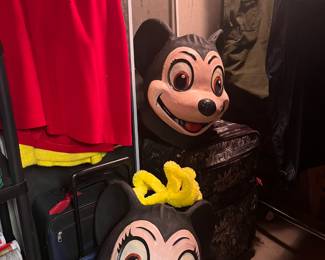 Mickey & Minnie Mouse Costumes