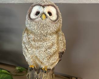Whooo’s Ready To Buy?