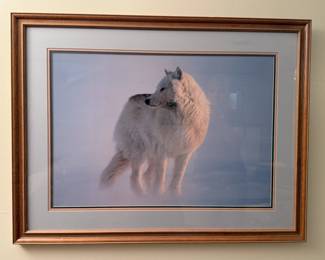 Framed and Matted Art of Arctic Wolf