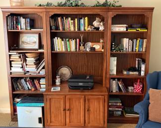Library Wall Unit with Book Shelves and Closed Lower Cabinets