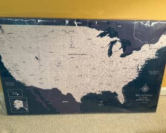 United States Push Pin Travel Map by Holy Cow Canvas.Com