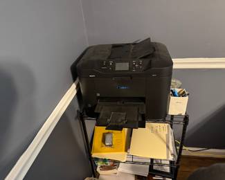 Printer with extra ink 