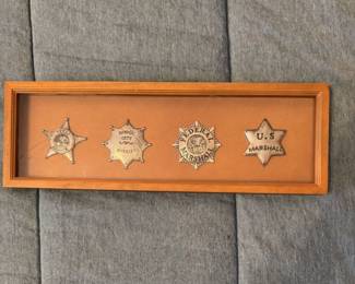 Assorted badges Frames (glass is cracked)