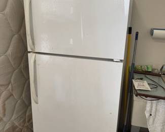 Refrigerator in Garage