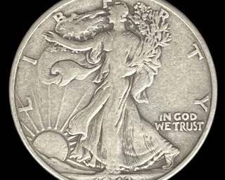 wIMG 6236 t