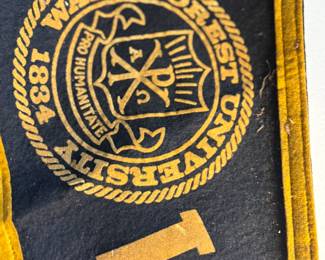 Vintage Wake forest banner