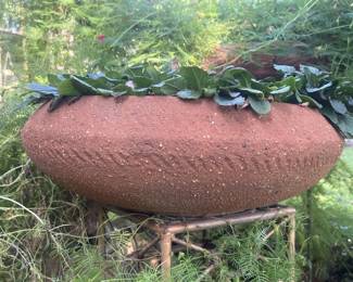 Terra-Cotta Planter with Plants