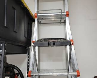 Little Giant ladder
