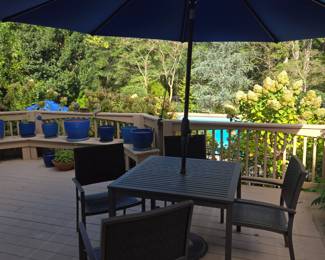 Restoration Hardware patio set