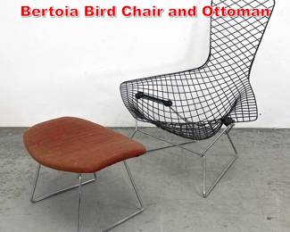 Lot 171 Vintage Knoll Associates Bertoia Bird Chair and Ottoman