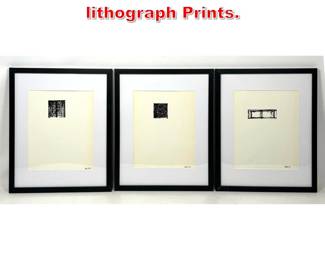 Lot 139 3pcs Brice Marden lithograph Prints. 