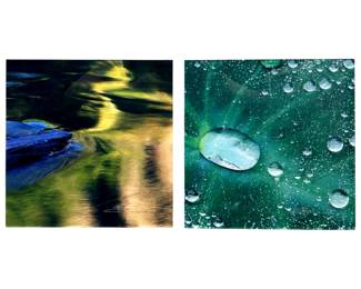 2pc. Signed Nature River Photographs
